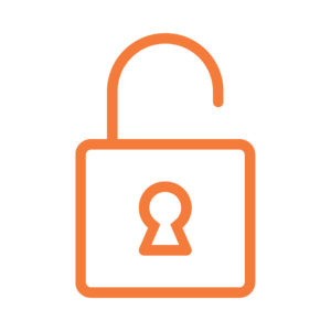 Security Symbol - Orange